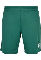 Starter Black Label Shorts Schwarz