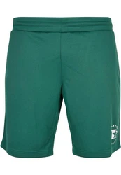 Starter Black Label Shorts Schwarz