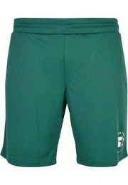 Shorts Herren Starter Team Mesh Shorts (1-tlg)