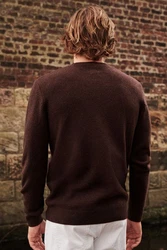 Next Rundhalspullover Premium Regular Fit Lambswool Dunkelbraun/Braun/Dunkelgrün