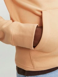 Jack & Jones Sweatshirt Orange/Braun/Beige