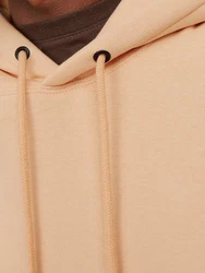 Jack & Jones Sweatshirt Orange/Braun/Beige