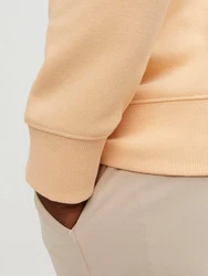 Jack & Jones Sweatshirt JJEStar 