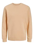 Jack & Jones Sweatshirt JJEStar 