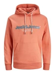 Jack & Jones Sweatshirt JORLAKEWOOD SWEAT HOOD BF LN Orange/Rosa