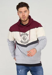 Kapuzensweatshirt KORNELIUS im trendigen Color-Blocking-Design