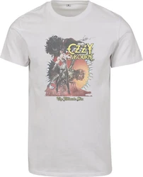 Merchcode Ultimate Sunburst Tee Grau/Hellgrau