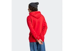 adidas Sportswear Kapuzensweatshirt ESSENTIALS BIG LOGO HOODIE Rot