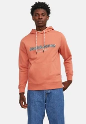 Jack & Jones Sweatshirt JORLAKEWOOD SWEAT HOOD BF LN Orange/Rosa
