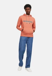 Jack & Jones Sweatshirt JORLAKEWOOD SWEAT HOOD BF LN Orange/Rosa