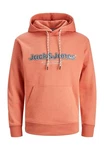 Jack & Jones Sweatshirt JORLAKEWOOD SWEAT HOOD BF LN Orange/Rosa