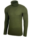 Baxboy Herren Slim Fit Rollkragenpullover Dunkelgrün