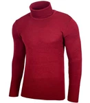 Baxboy Herren Rollkragen Pullover Langarmshirt Slim fit Basic BB-1406 B-1406