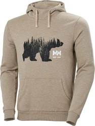 Helly Hansen Kapuzenpullover Logo Hoodie Braun