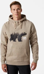 Helly Hansen Kapuzenpullover Logo Hoodie Braun
