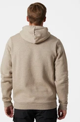 Helly Hansen Kapuzenpullover Logo Hoodie Braun