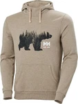 Helly Hansen Kapuzenpullover Logo Hoodie Braun