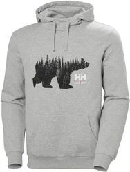 Helly Hansen Kapuzenpullover Logo Hoodie Braun