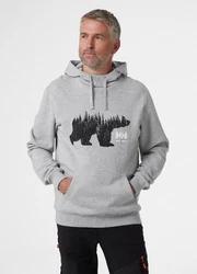 Helly Hansen Kapuzenpullover Logo Hoodie Braun