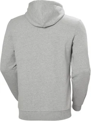 Helly Hansen Kapuzenpullover Logo Hoodie Braun