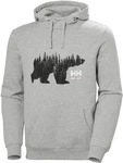 Helly Hansen Kapuzenpullover Logo Hoodie Braun