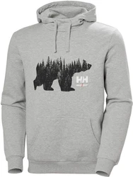 Helly Hansen Kapuzenpullover Logo Hoodie Braun
