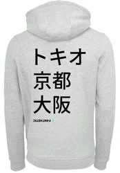 F4NT4STIC Kapuzenpullover Print Hellgrün/Grau/Hellblau/Hellgrau