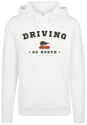 F4NT4STIC Kapuzenpullover Driving Home Christmas Creme/Blau/Weiß/Grün