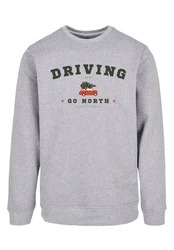 F4NT4STIC Sweatshirt Driving Home Grau/Blau/Rot/Braun/Rosa/Hellgrau