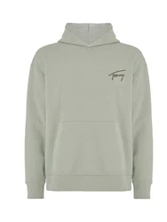 Tommy Jeans Kapuzensweatshirt TJM RLX SIGNATURE HOODIE EXT Grün/Hellgrün/Dunkelgrün/Khaki/Grau