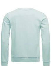 Red Bridge Herren Crewneck Sweatshirt Pullover Premium Basic Mint