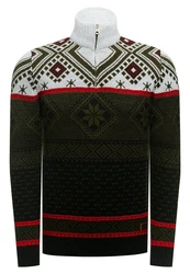 Rusty Neal Strickpullover Grün/Bordeaux/Gelb/Schwarz