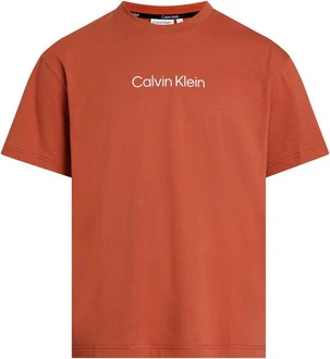 Calvin Klein T-Shirt 'Hero' Rot/Orange