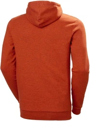 Helly Hansen Kapuzenpullover Logo Hoodie Orange