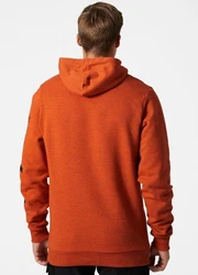 Helly Hansen Kapuzenpullover Logo Hoodie Orange