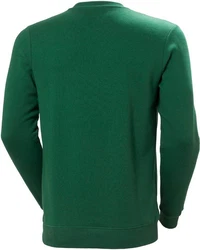 Helly Hansen Rundhalspullover Logo Sweatshirt Dunkelgrün/Grün/Braun
