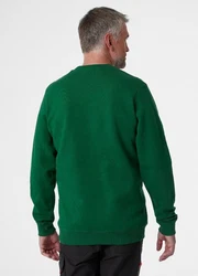 Helly Hansen Rundhalspullover Logo Sweatshirt Dunkelgrün/Grün/Braun