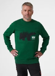 Helly Hansen Rundhalspullover Logo Sweatshirt Dunkelgrün/Grün/Braun