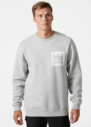 Helly Hansen Rundhalspullover Logo Sweatshirt 
