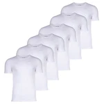 Lacoste T-Shirt Essentials Rundhals Weiß/Dunkelblau/Creme