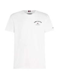 Kurzarmshirt PHOTOPRINT BRIDGE TEE mit groem Print auf dem Rcken