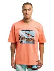 CARLO COLUCCI Rundhalsshirt Delleg 