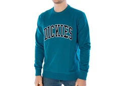 Dickies Sweatshirt Aitkin 