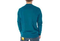 Dickies Sweatshirt Aitkin 