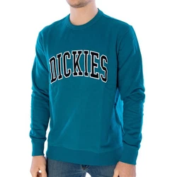 Dickies Sweatshirt Aitkin 