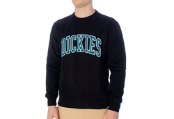 Dickies Sweatshirt Aitkin 