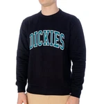Dickies Sweatshirt Aitkin 