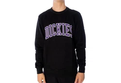 Dickies Sweatshirt Aitkin Schwarz/Blau/Lila/Dunkelblau/Rot