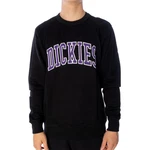 Dickies Sweatshirt Aitkin Schwarz/Blau/Lila/Dunkelblau/Rot Dickies Sweatshirt Aitkin Schwarz/Blau/Lila/Dunkelblau/Rot