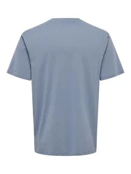 ONLY & SONS Rundhalsshirt ONSLAMER LIFE REG LOGO SS TEE Grau/Blau/Dunkelblau